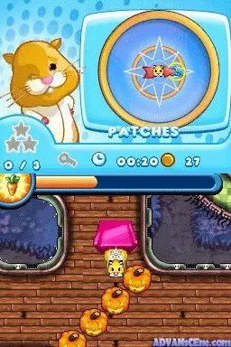 Image n° 3 - screenshots : Zhu Zhu Pets 2 - Featuring The Wild Bunch (DSi Enhanced)